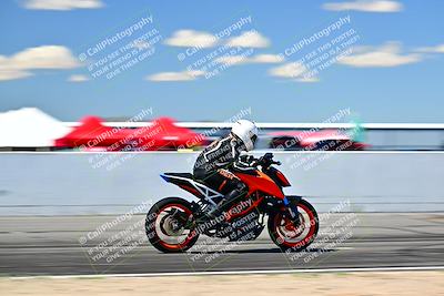 media/Mar-25-2024-Moto Forza (Mon) [[8d4319bd68]]/4-Novice Group/Session 4 Front Straight Speed Pans/